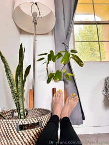 Take my poll which option would you pick if you could leave a comment