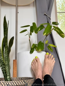 Take my poll which option would you pick if you could leave a comment part 2