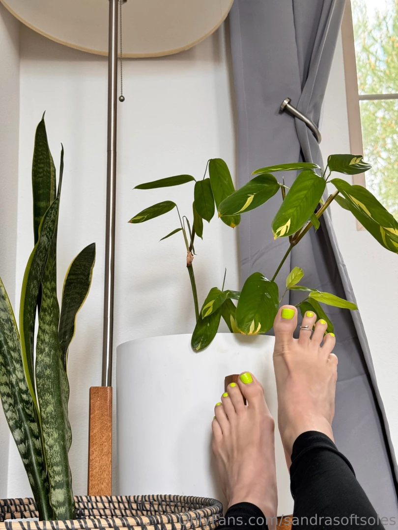 Take my poll which option would you pick if you could leave a comment part 3 