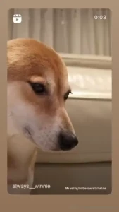 Those aren t things i actually need thanks for hanging out while i act