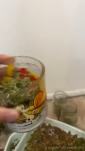 We re gonna make it out of here one day cindymoon fundraising silk part 1