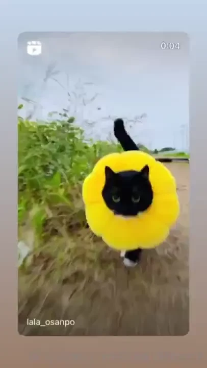 I m an expensive girl she whispered to nobody while on her phone 