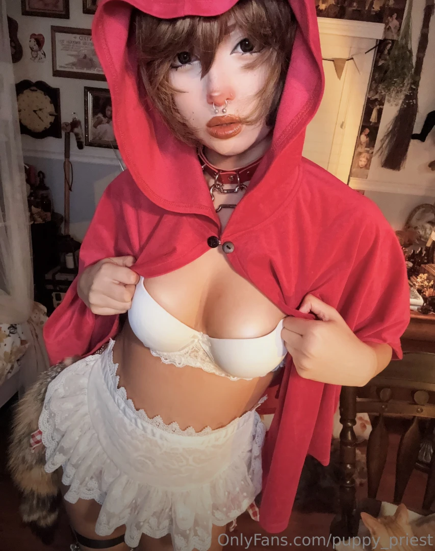 Look out big bad wolf you re not getting any of these cookies part 3 