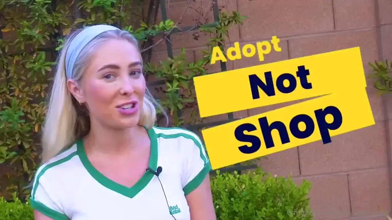 When you adopt an animal you re saving a life today we re talking all 