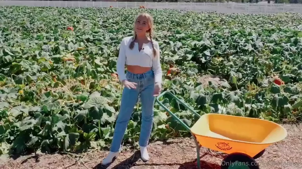 It s pumpkin season we re headed to the pumpkin patch to find the 