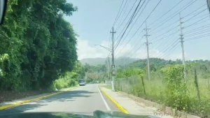 Step into the tropical rainforest of puerto rico el yunque where we