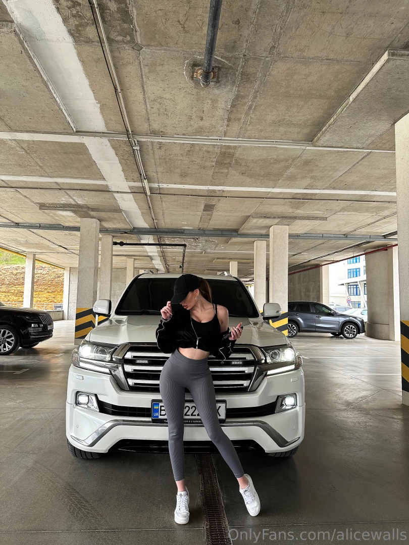Having a car nowadays is almost the first necessity in today s world 
