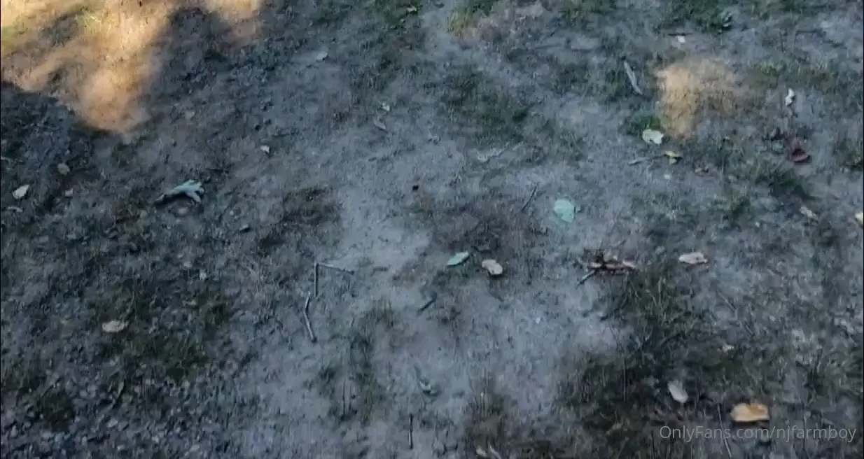 Went for a hike but sadly i was interrupted before i could fully enjoy 