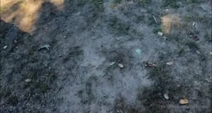 Went for a hike but sadly i was interrupted before i could fully enjoy