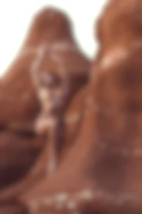 Enjoyment captured by taggs photography edited with permission by me