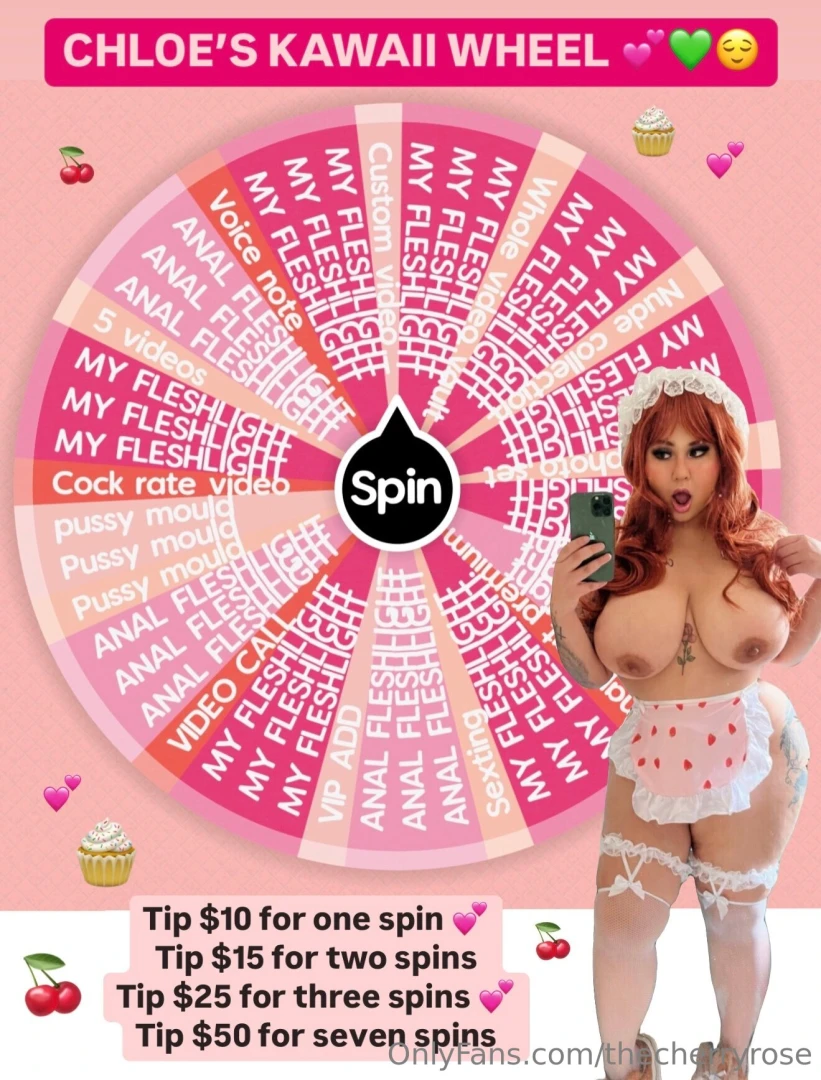 Chloe s kawaii wheel tip 10 for one spin tip 15 for two spins tip 25 