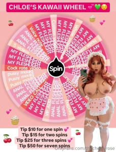 Chloe s kawaii wheel tip 10 for one spin tip 15 for two spins tip 25