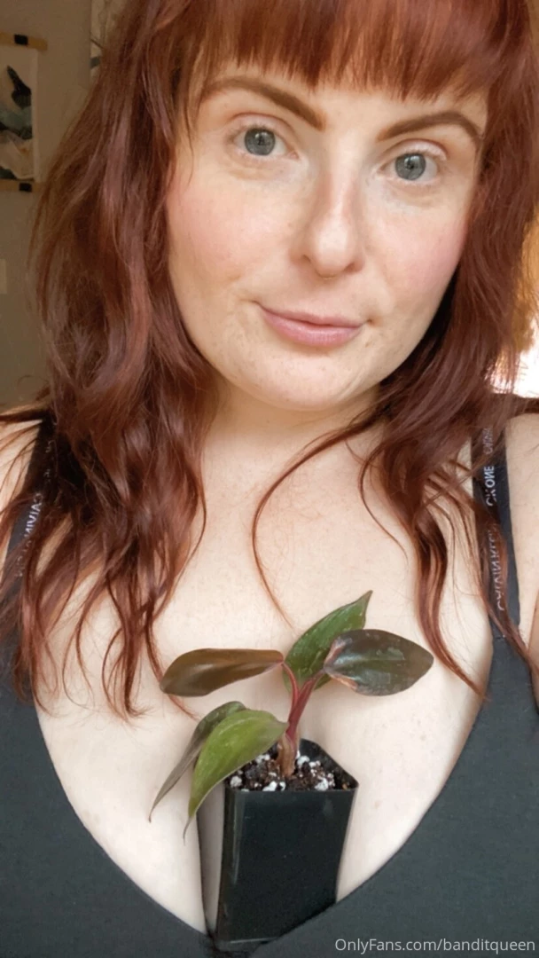 I scored the babiest philodendron pink princess i ve been after one 