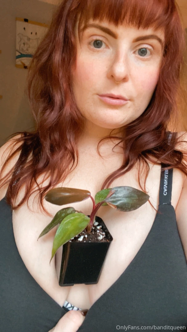 I scored the babiest philodendron pink princess i ve been after one part 1 