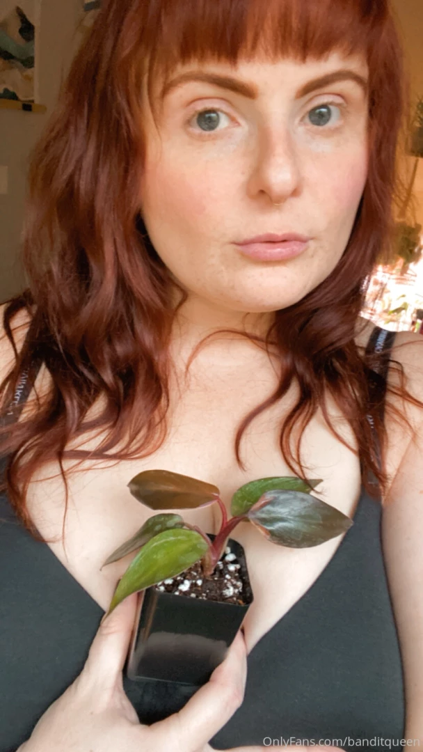 I scored the babiest philodendron pink princess i ve been after one part 2 