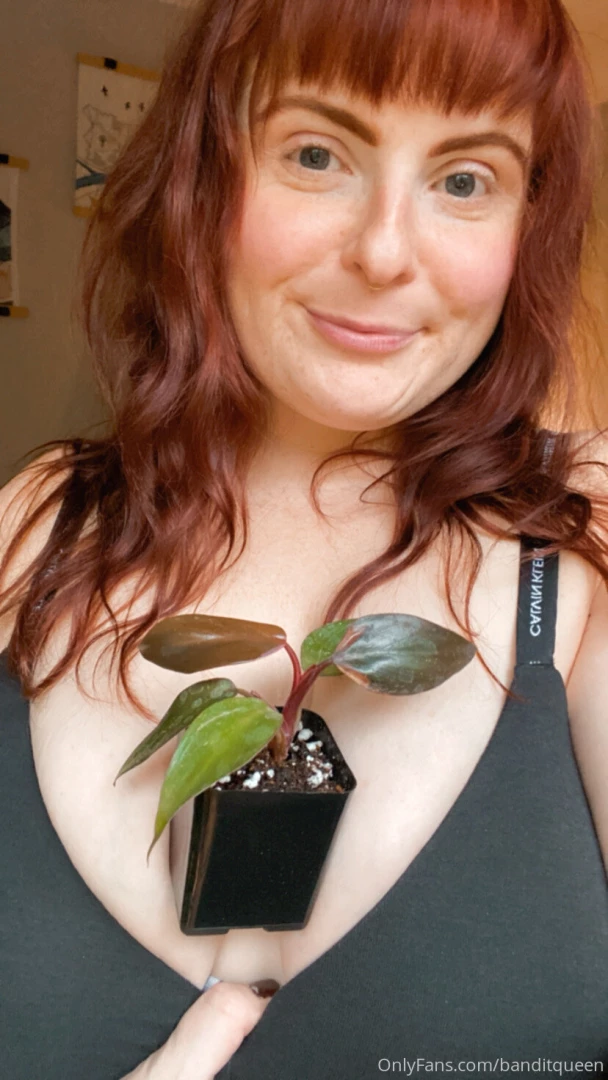 I scored the babiest philodendron pink princess i ve been after one part 8 