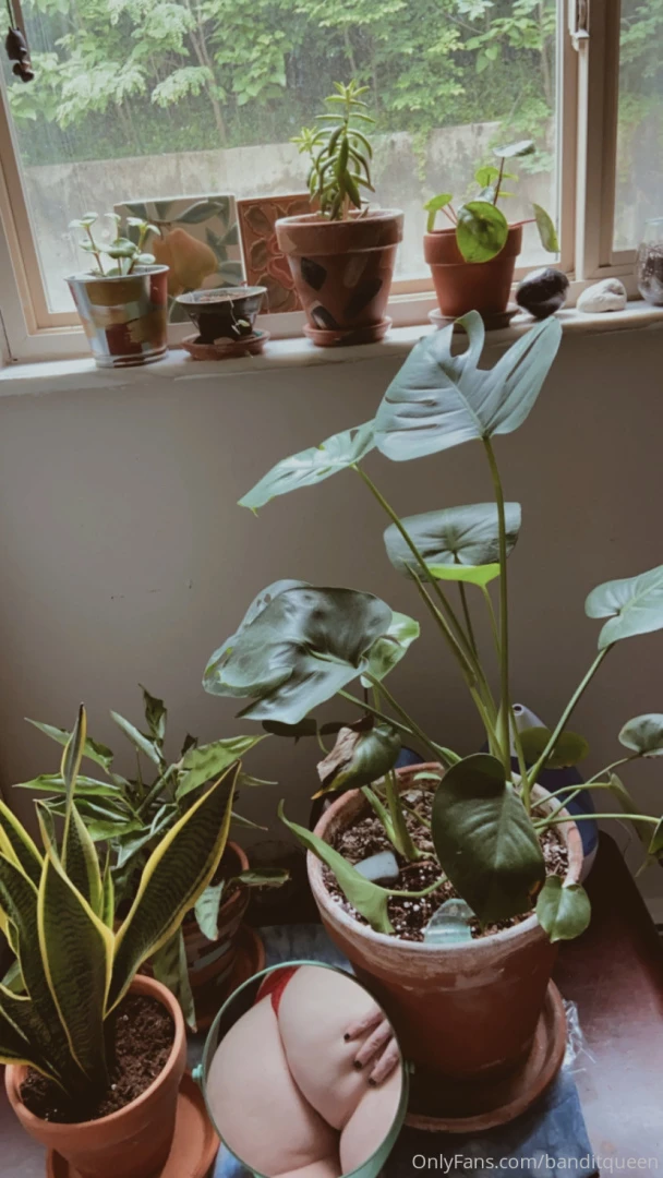 Bite my fuzzy peach open the plant pictures for a peek of paradise part 2 