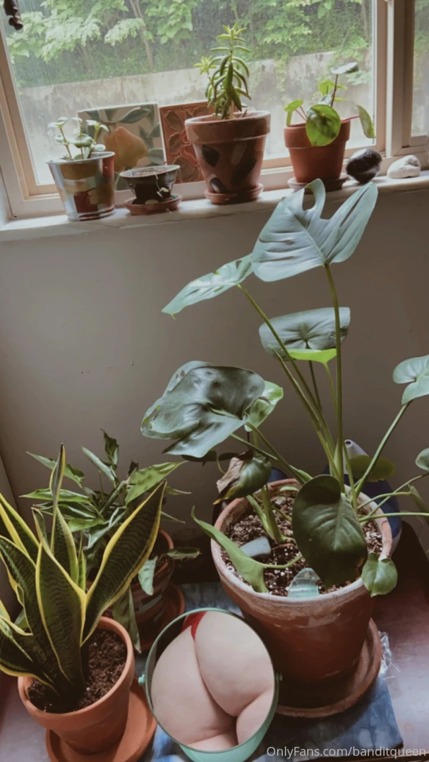 Bite my fuzzy peach open the plant pictures for a peek of paradise part 3 