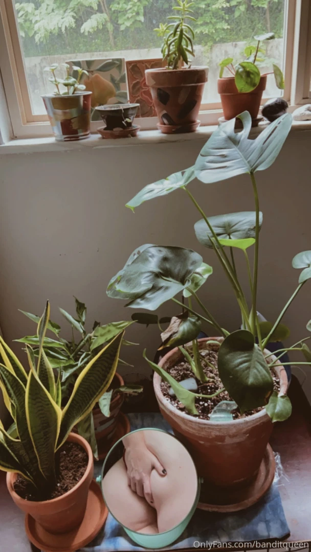 Bite my fuzzy peach open the plant pictures for a peek of paradise part 5 