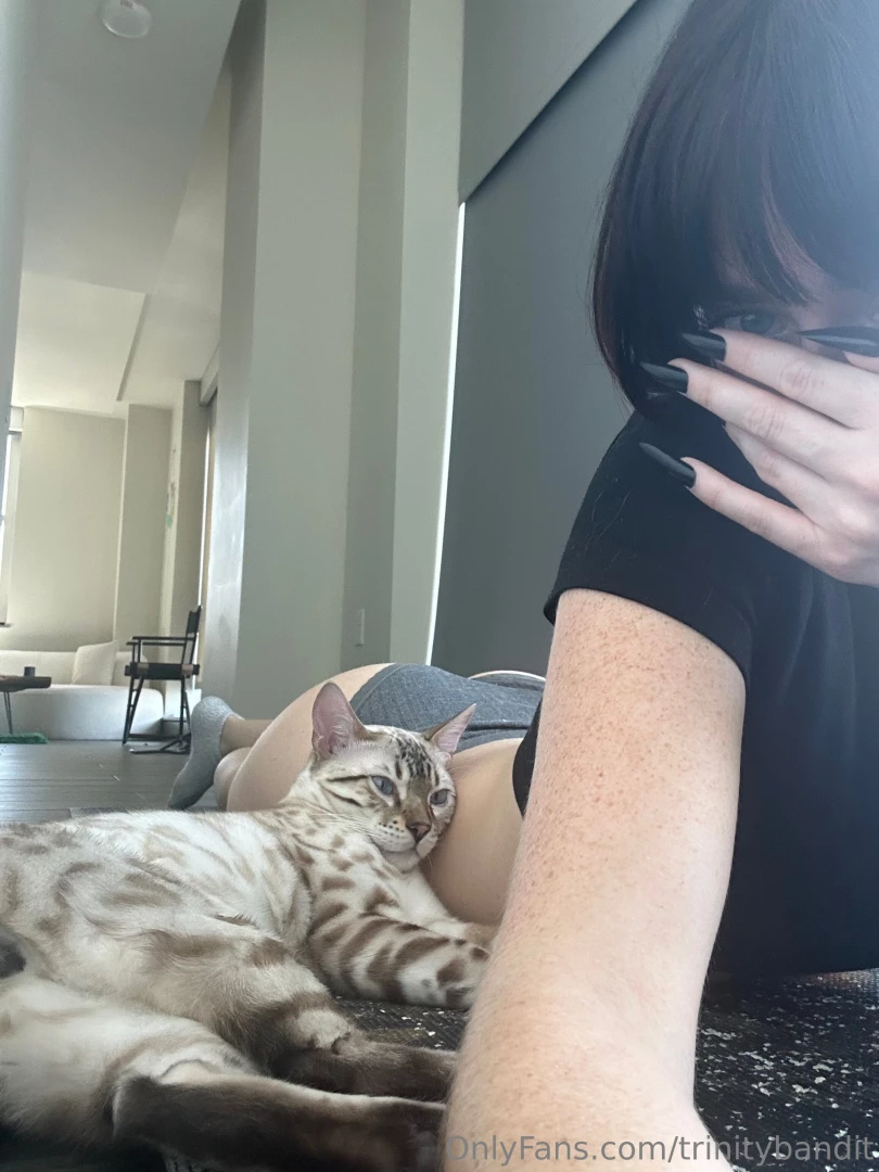 Here kitty kitty part 71 
