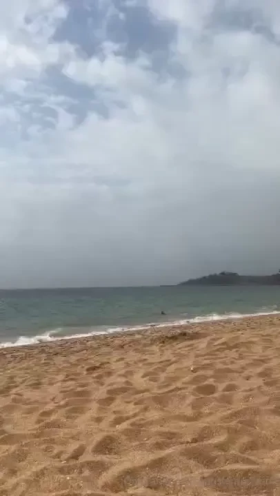 Sending you wonderful late summer vibes finally arrived by the sea part 4 