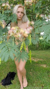 April420haze part 62