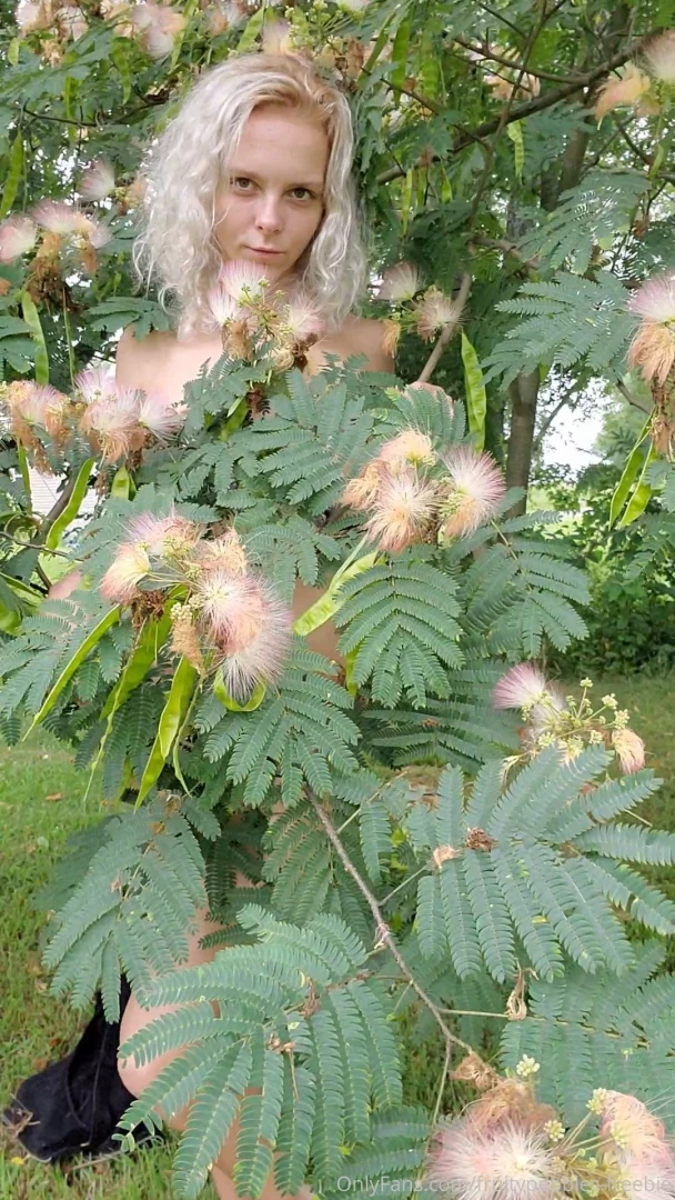 April420haze part 78 