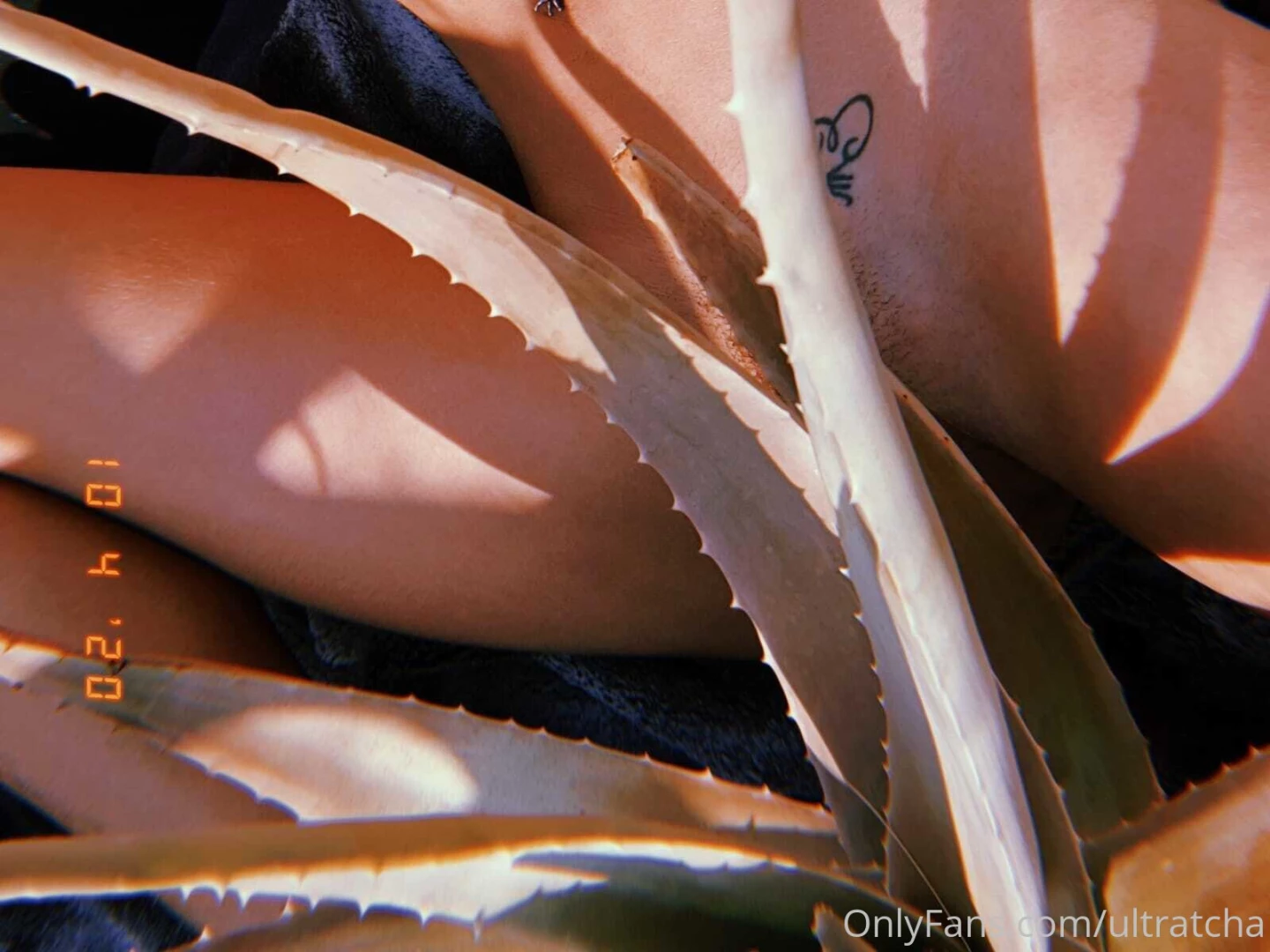 Vous aimez mon amie emel marie elle est d licieuse non la bonne part 2 