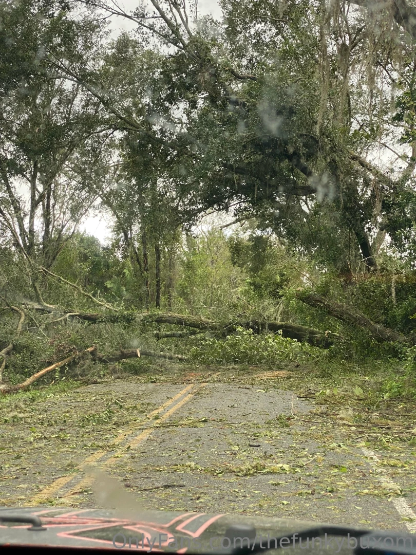 Nothing sexy about today hurricane idialia hit us pretty hard we re 