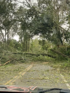 Nothing sexy about today hurricane idialia hit us pretty hard we re