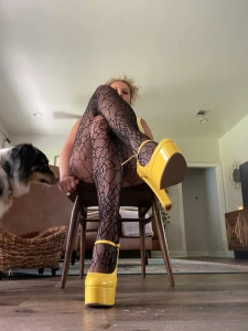 Thefunkybuxom part 29