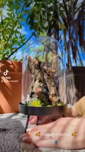 So this is something a lil different but one of my biggest hobbies part 4