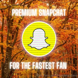 Attention amp only one fan can claim