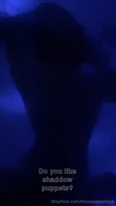 Do you like shaddow puppets
