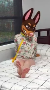 Anyone like paws my owner says he really likes my tiny toes and paws