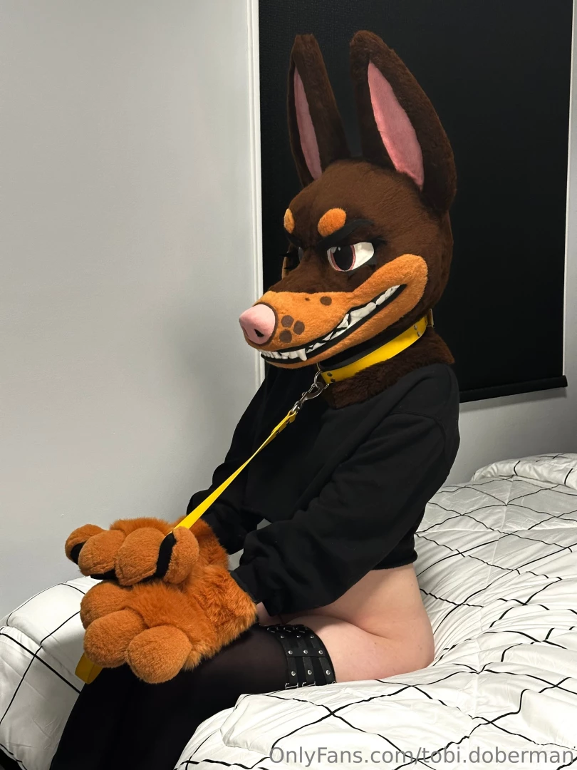 Woof woof welcome new people i m happy to have you here to play with i 