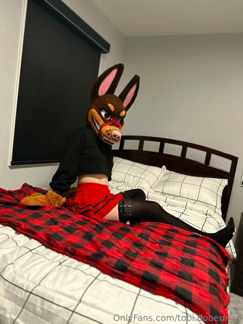 Don we now our gay apparel this pup loves to look sexy 3 this is my part 1 