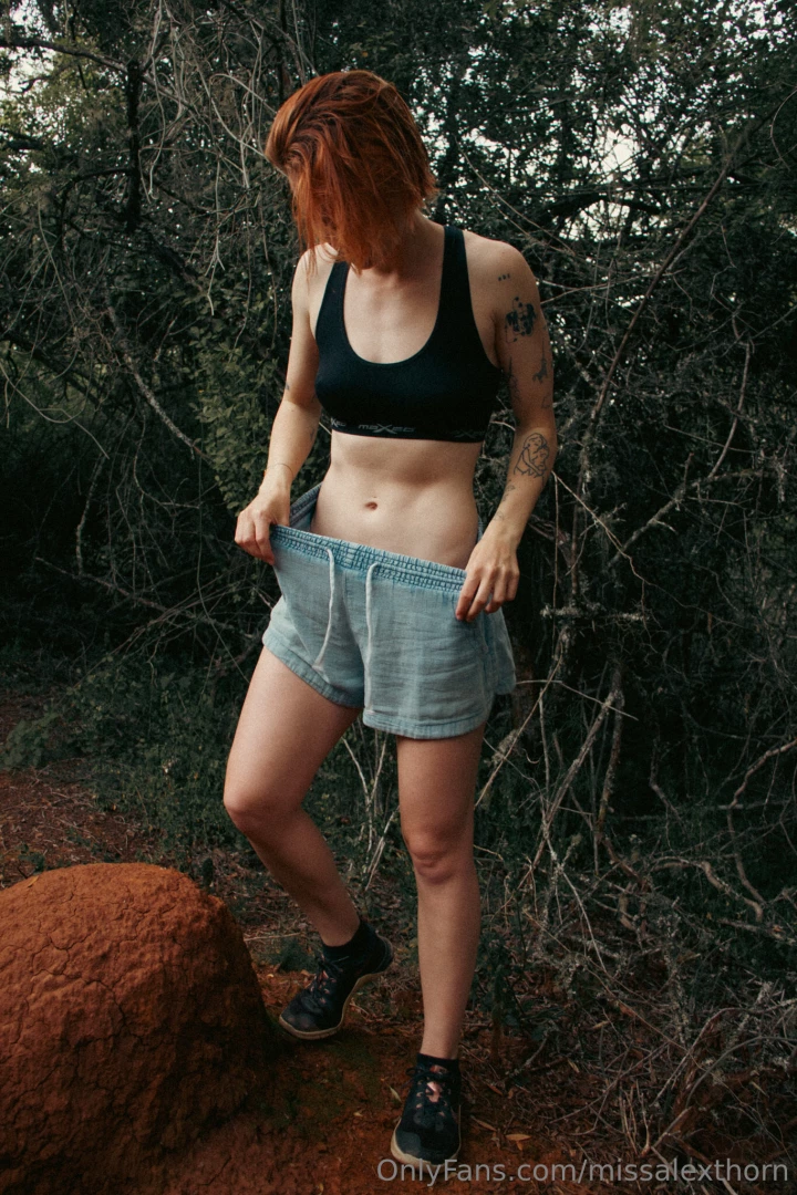 Missalexthorn part 60 