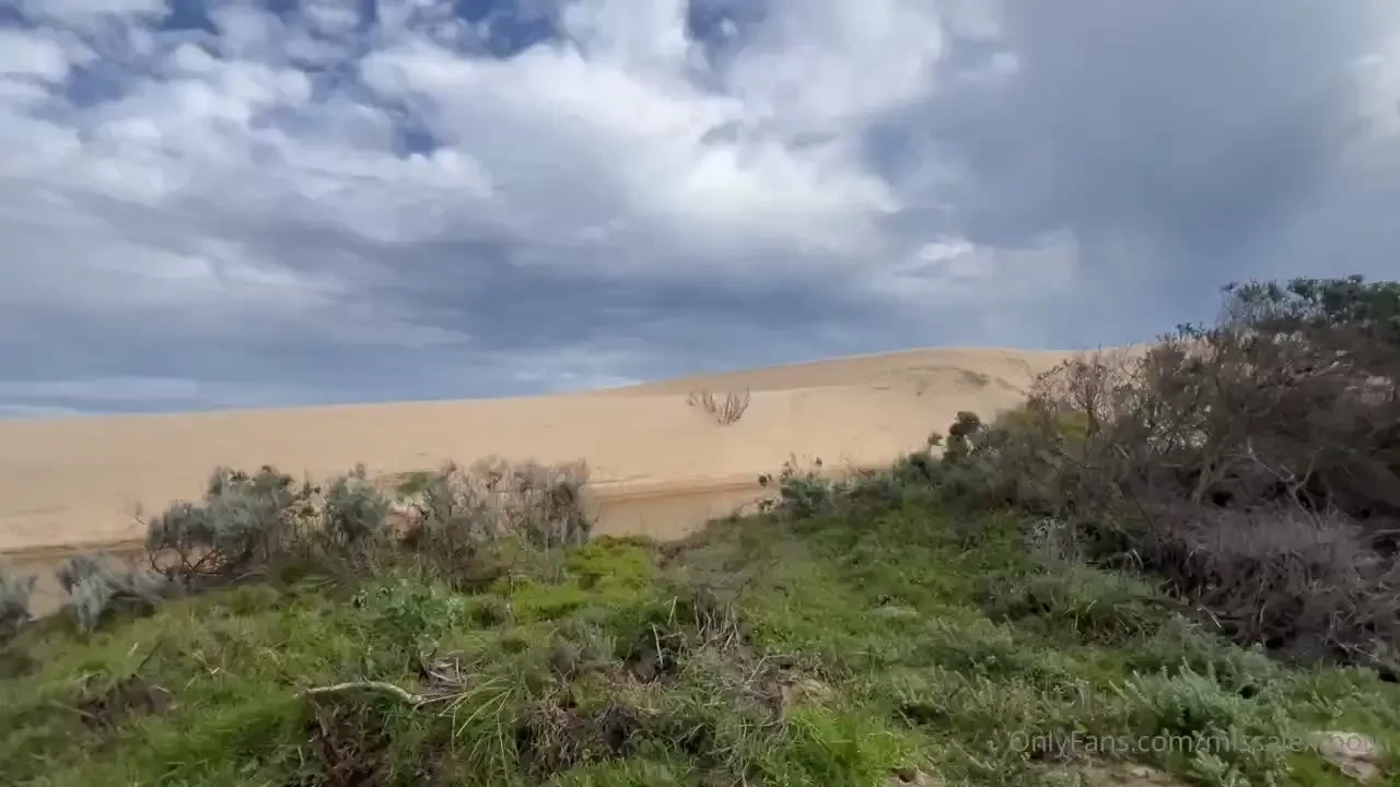 Missalexthorn part 56 