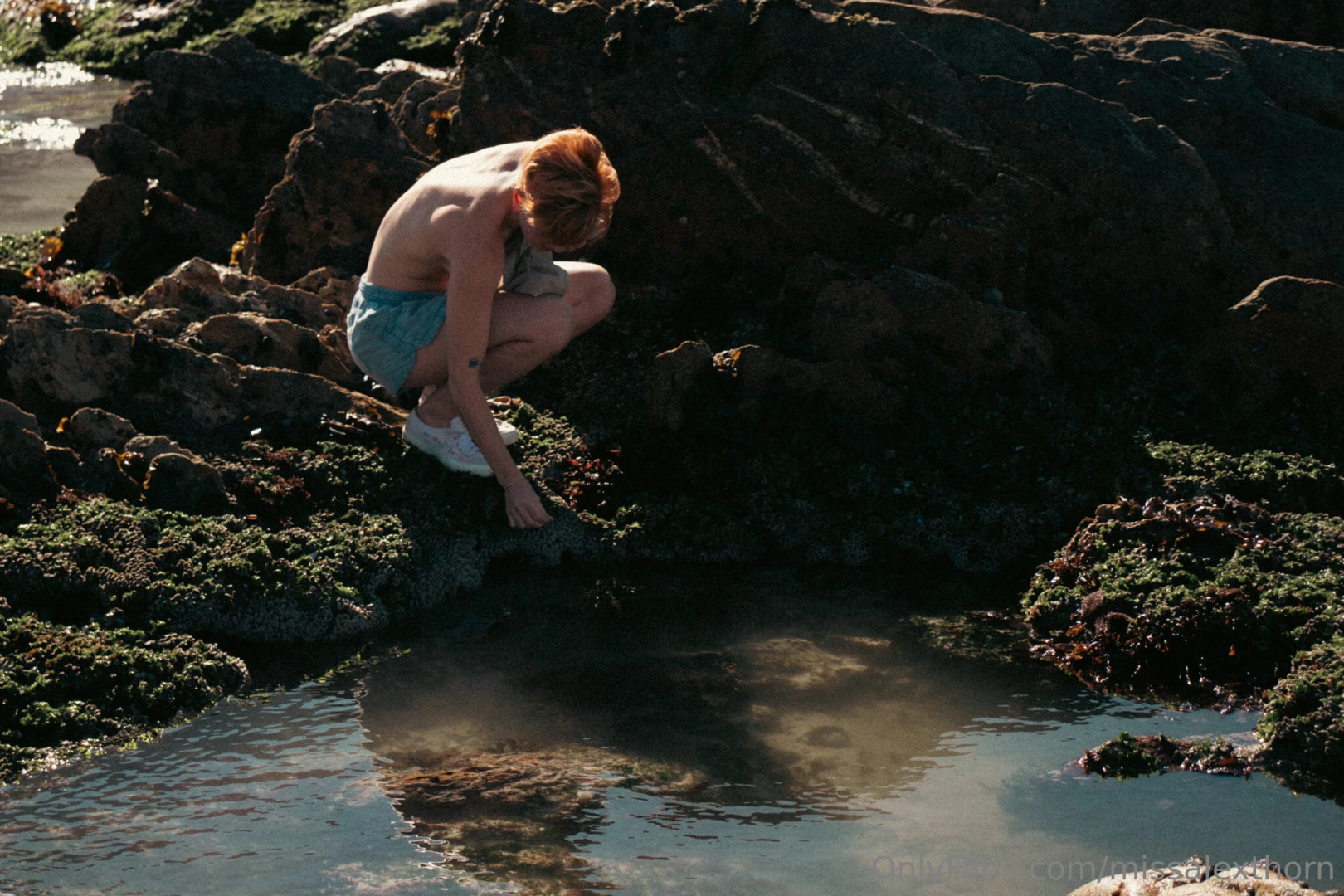 Missalexthorn part 52 