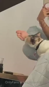 I know you want to be my cat