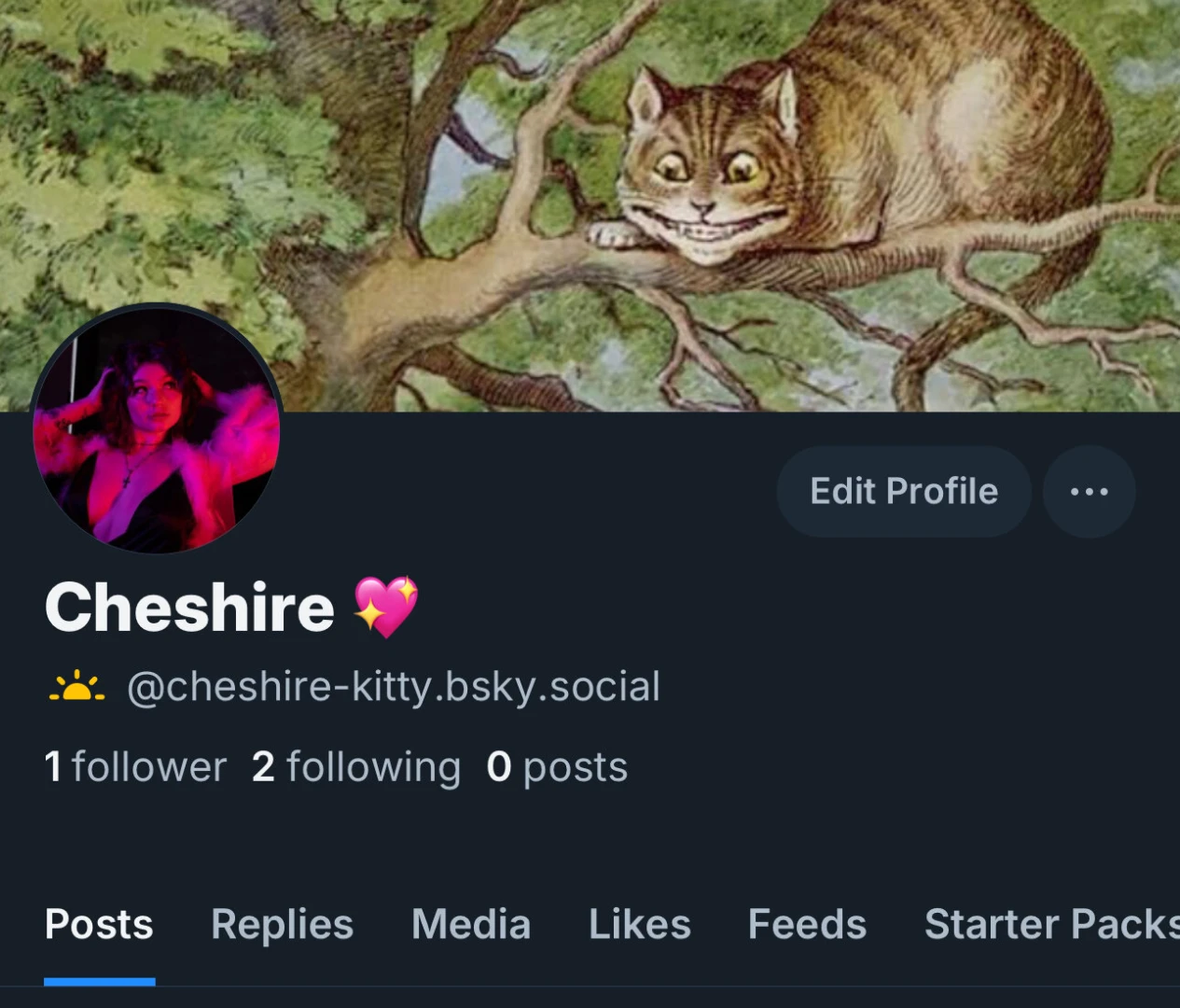 I made a blue sky account if you d like reminders for livestreams or 