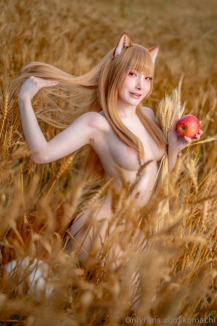 Spice and wolf part 1 