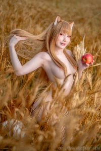 Spice and wolf part 1