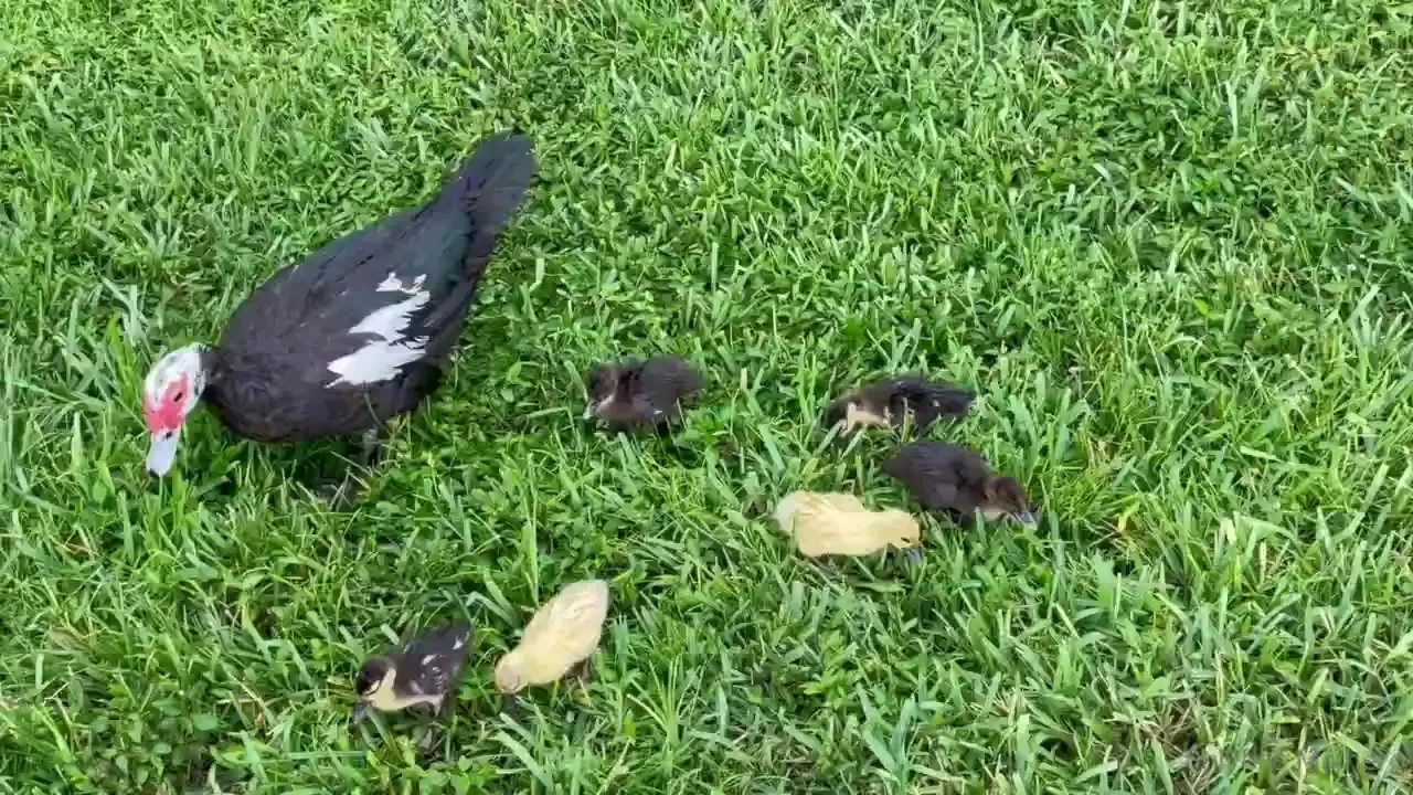 I m gonna rest and relax for the rest of saturday and sunday i might 