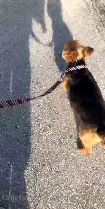 Ok that s enough news for today there s tons more actually but reading 