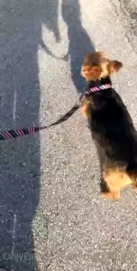 Ok that s enough news for today there s tons more actually but reading