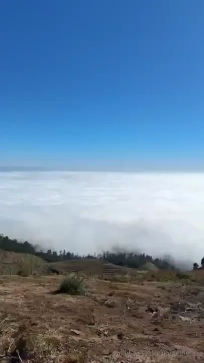 Woke up early to explore fanal and wow what a spot those ancient trees 