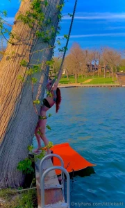 Sorry for the delay in posting got a gnarly case of poison ivy