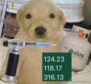 Hello this is why i m doing a sale 10 sets for 50usd only via p4yp4l